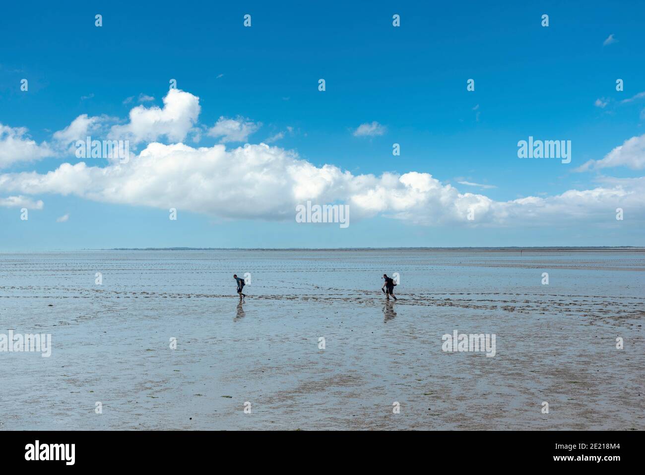 Wadden Sea with mudflat hikers, Bensersiel, Lower Saxony, Germany, Europe Stock Photo