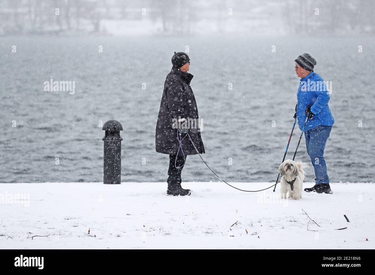 Kyla the dog hi-res stock photography and images - Alamy