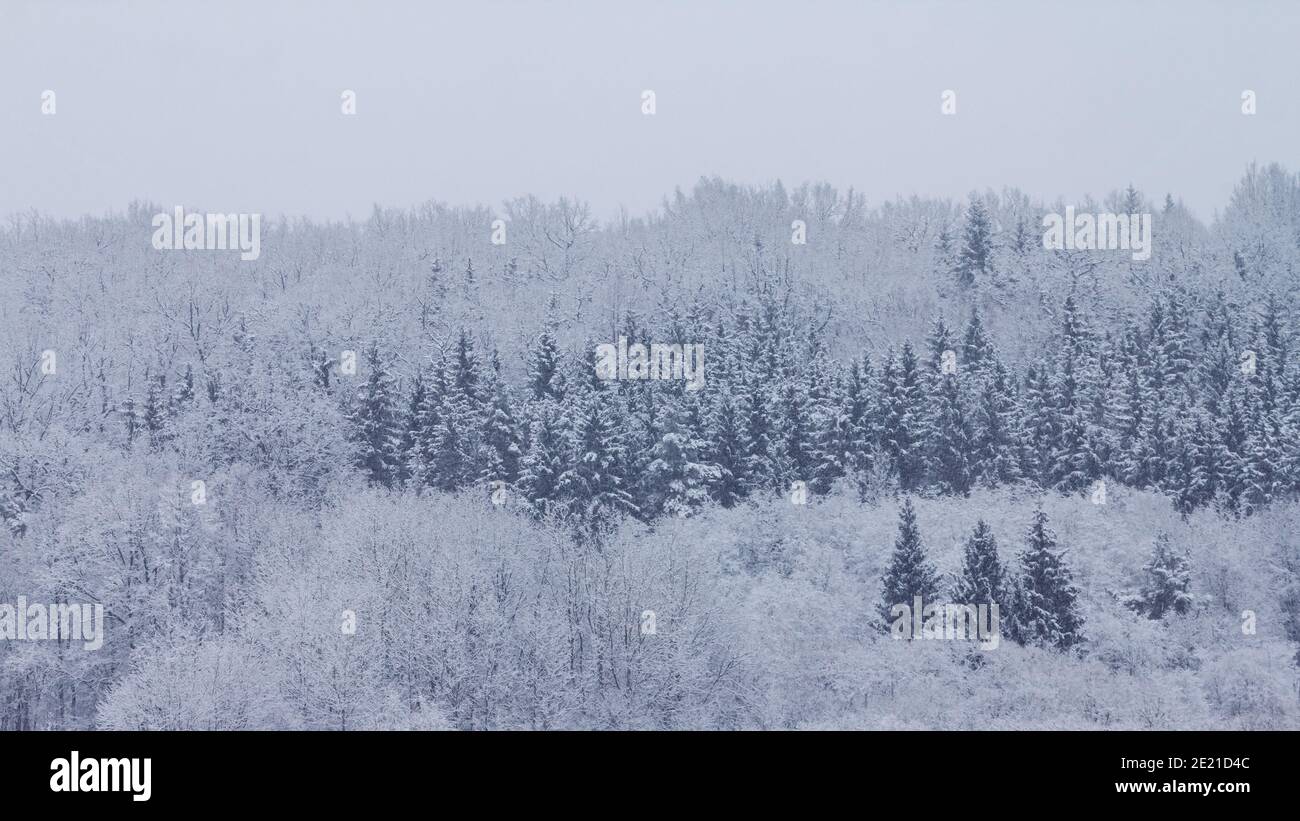 Landscape trees snow covered hill hi-res stock photography and images ...