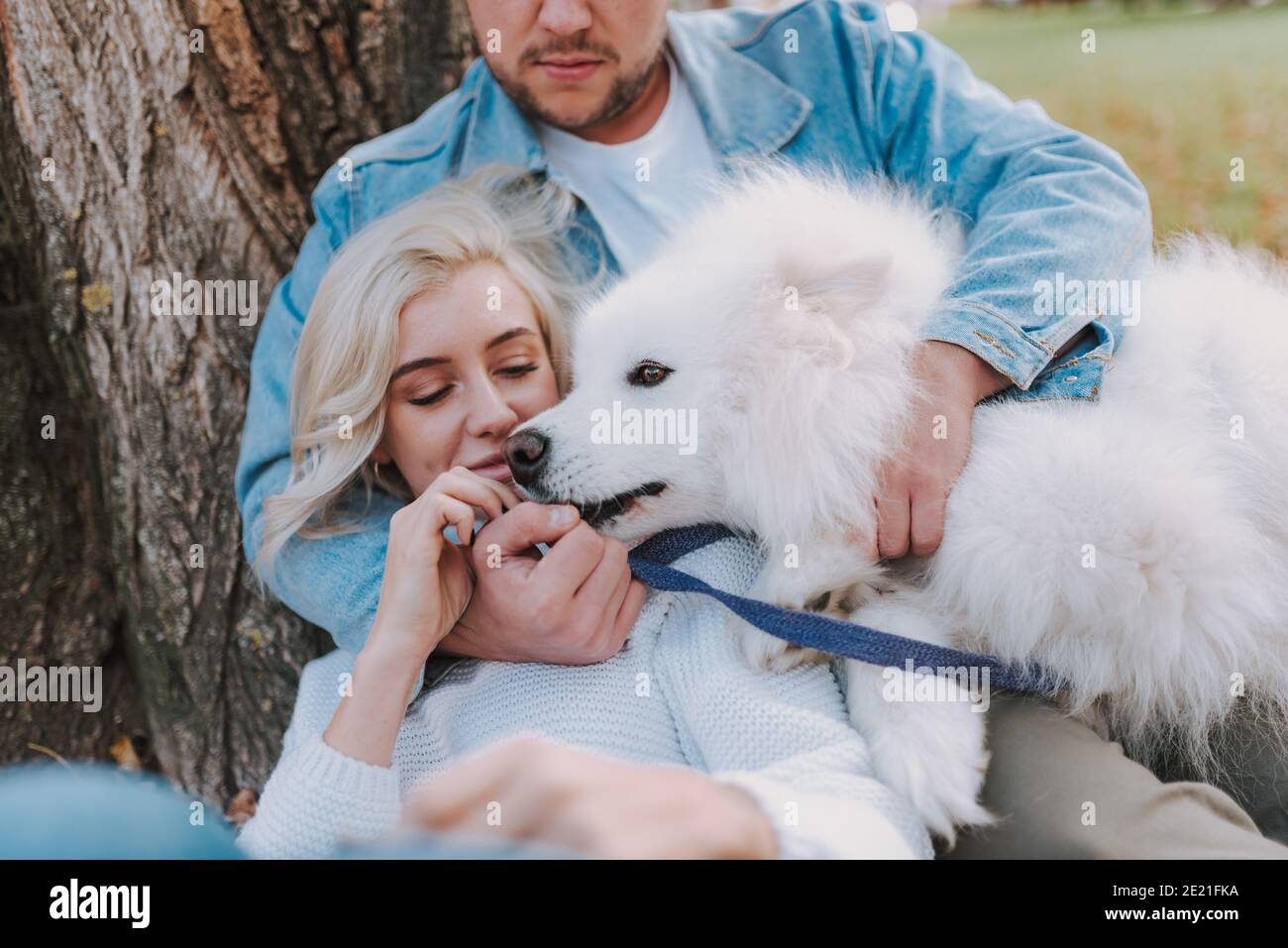 Happy young couple spending time with pet while sitting near tree in the park Stock Photo
