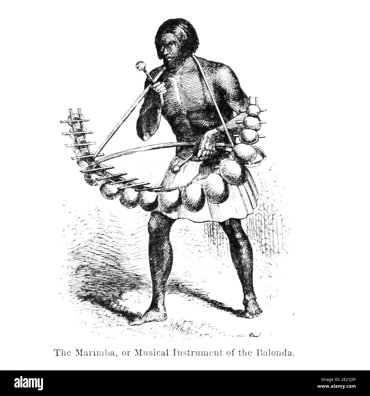 The Marimba, or Musical Instrument of the Balonda From the Book ' Missionary travels and researches in South Africa ' including Sixteen Years Residence in the Interior of Africa. by Dr. David Livingstone Published in New York by Harper & Brothers 1858 Stock Photo