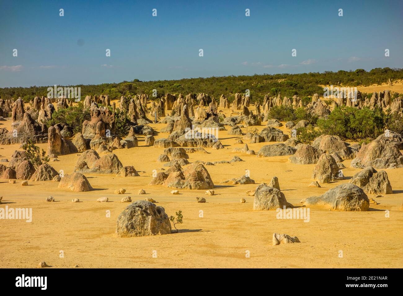 Pinnacle Rocks Perth Limestone pillars of Pinnacles Desert, Nambung National Park, Western ...
