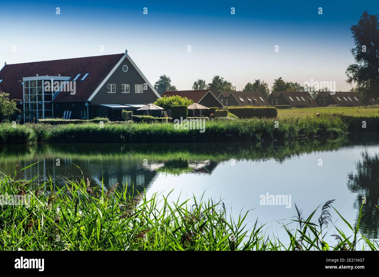 Netherlands, Goes. Dutch countryside lake landscape: reeds along the lake shore. Groups of characteristic chalets, one on the lake shore is reflected Stock Photo