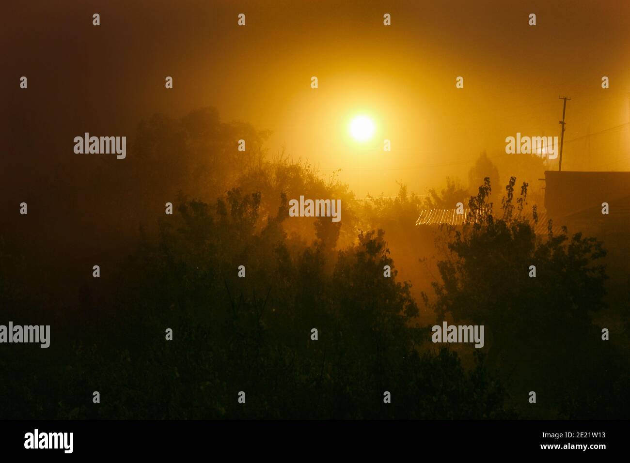 Dark foggy street view hi-res stock photography and images - Alamy