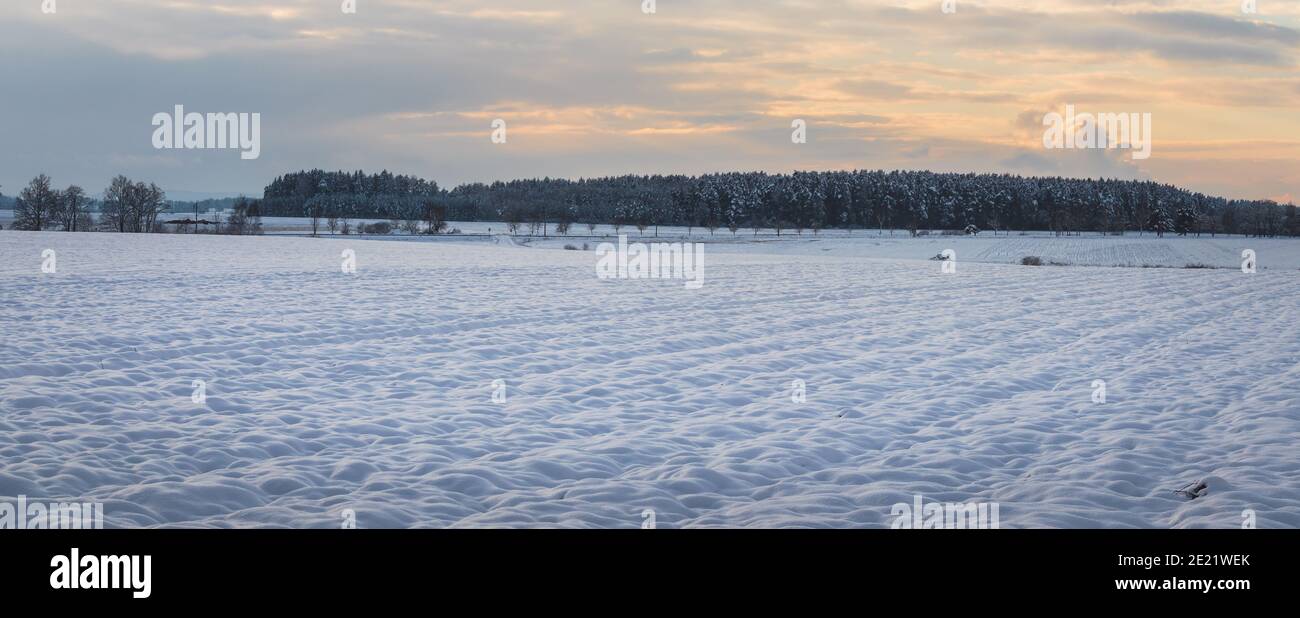 winter landscape, snowy field, forest and trees on the horizon, clouds Stock Photo