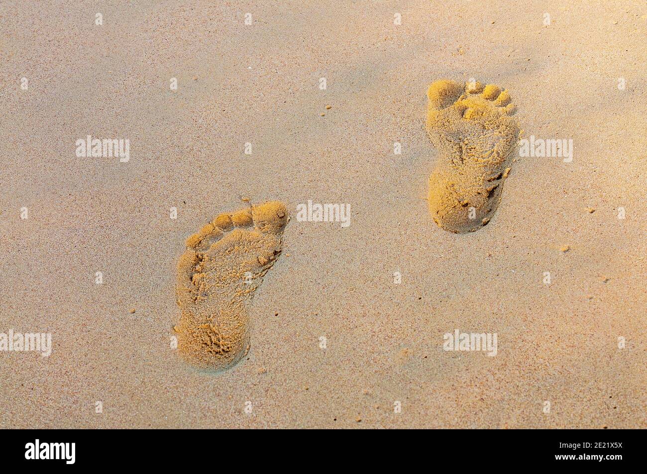 footsteps in sand,beach; Riu Palace; hotel; Punta Cana; Dominican Republic; Caribbean Stock Photo