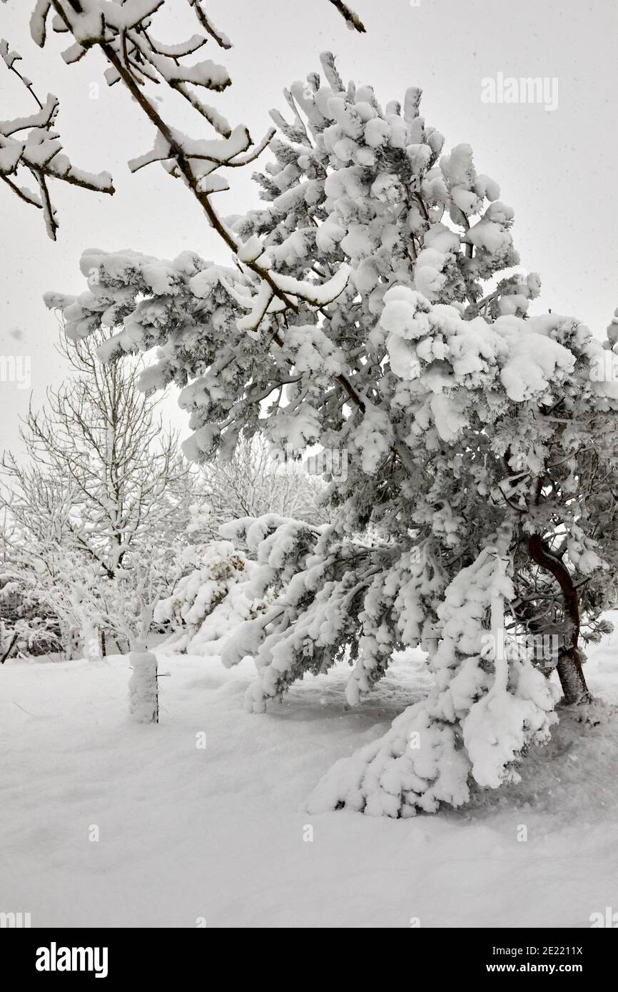 Tree across driveway hi-res stock photography and images - Alamy