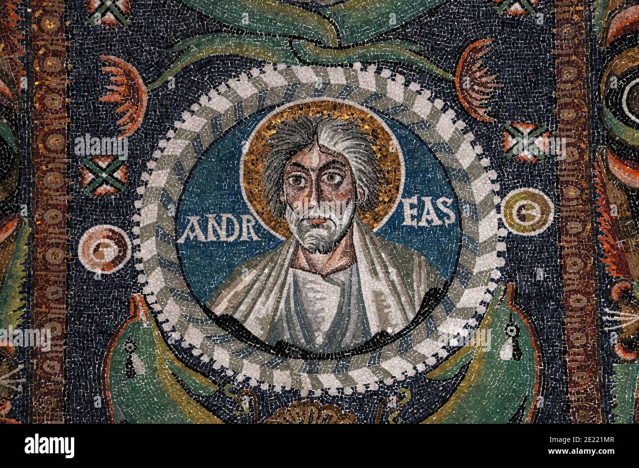 Apostle and martyr Saint Andrew (here ‘Andreas’) with wild hair. Byzantine mosaic in the Basilica di San Vitale at Ravenna, Emilia-Romagna, Italy. The mosaic was created in the 500s AD, a few years after Ravenna was captured by the Byzantine Empire from the Ostrogoths.  Andrew was crucified by the Romans on an X-shaped cross or saltire at Patras, Greece in 60 AD.  He is the patron saint of Scotland and his saltire is used on Scotland’s national flag. Stock Photo