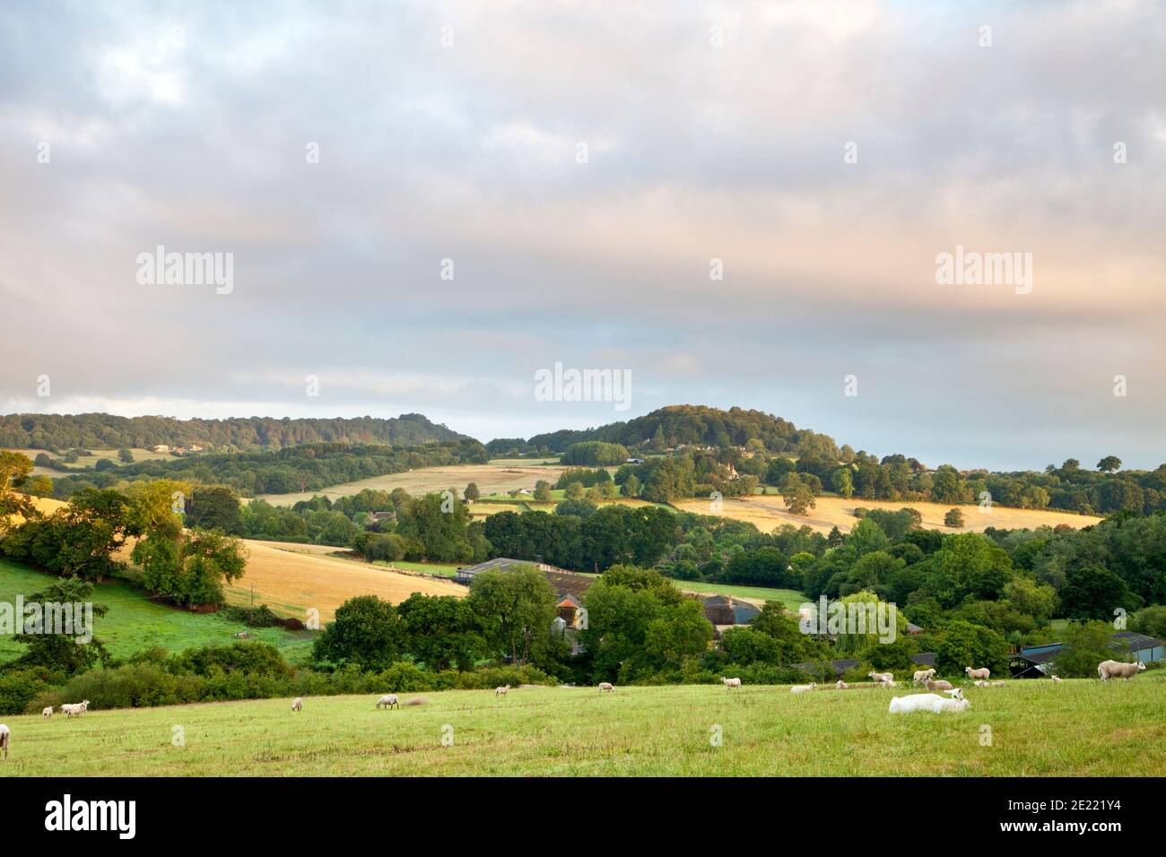The rural landscape of south-west Wiltshire near the village of Donhead St. Andrew. Stock Photo