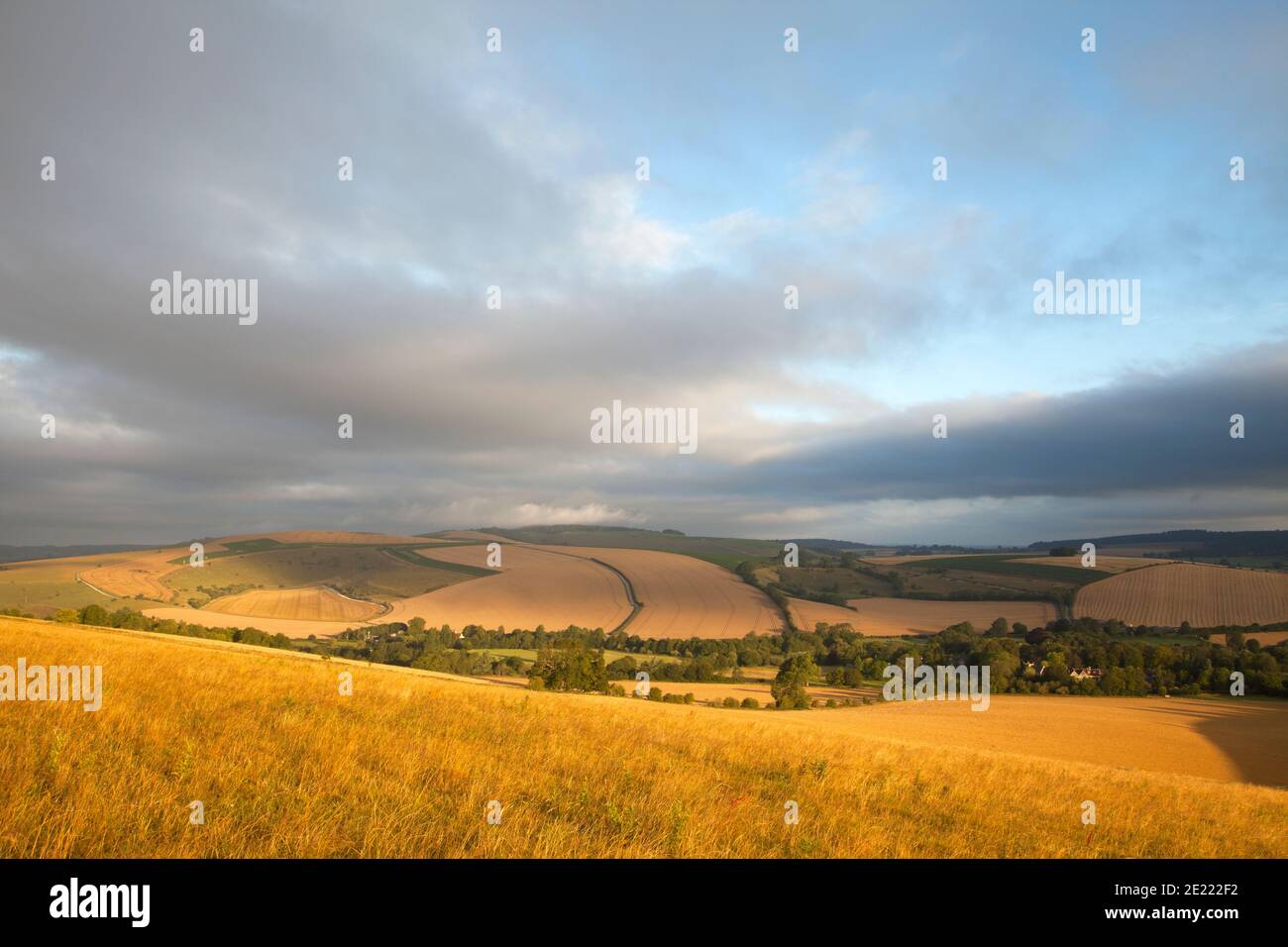 The rolling downs of south-west Wiltshire, with the village of Brixton Deverill hidden by trees in the valley. Stock Photo