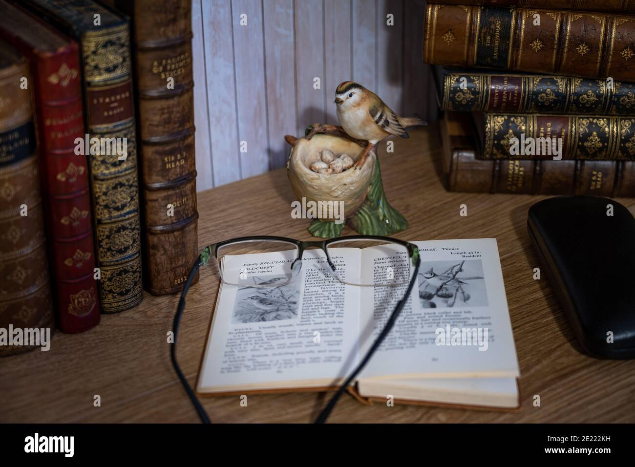 Classical still life scene of leather bound books, an open bird book, and glasses Stock Photo