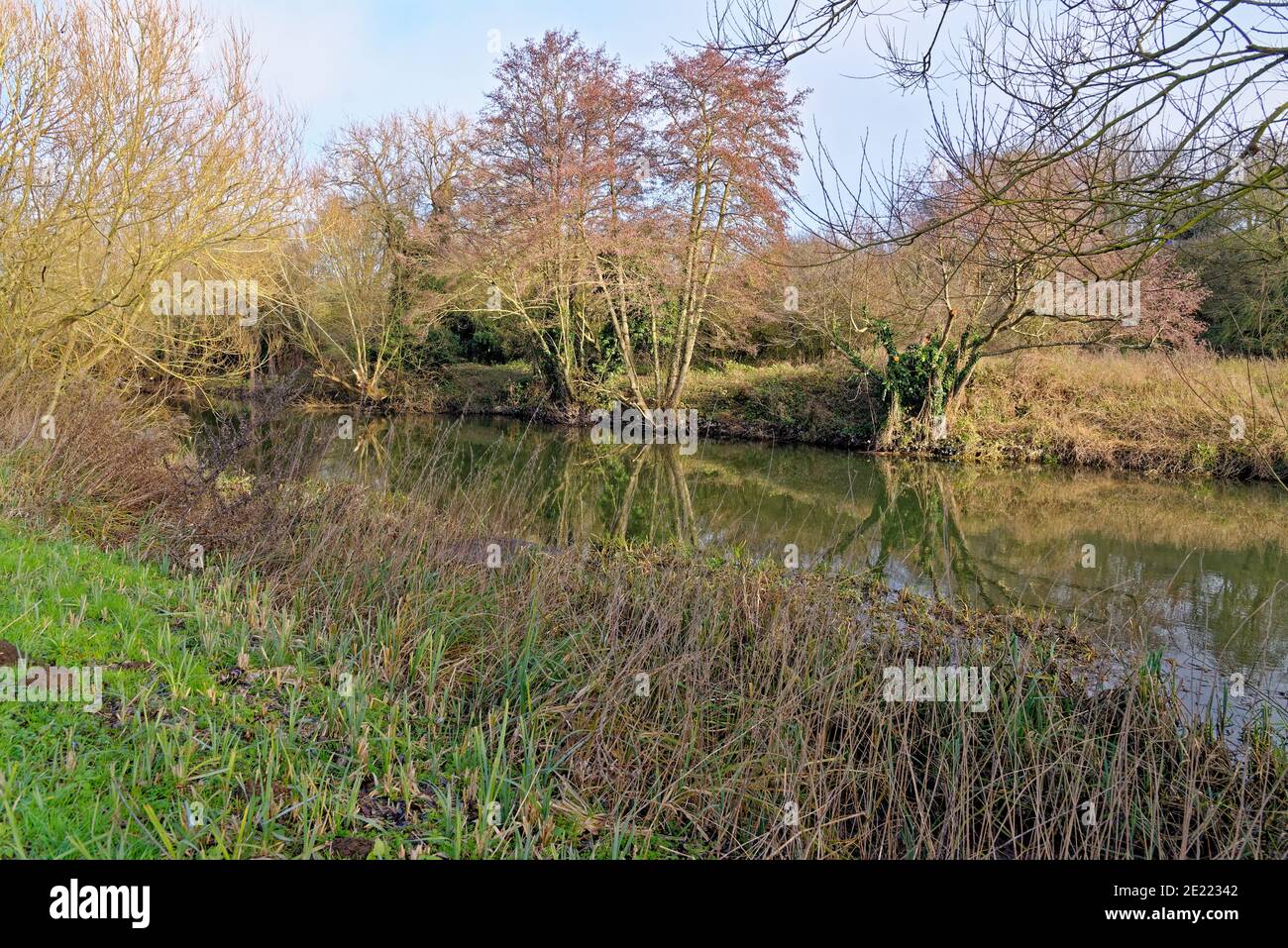 River and Avon Canal at Reading, Berkshire, United Kingdom Stock Photo Alamy