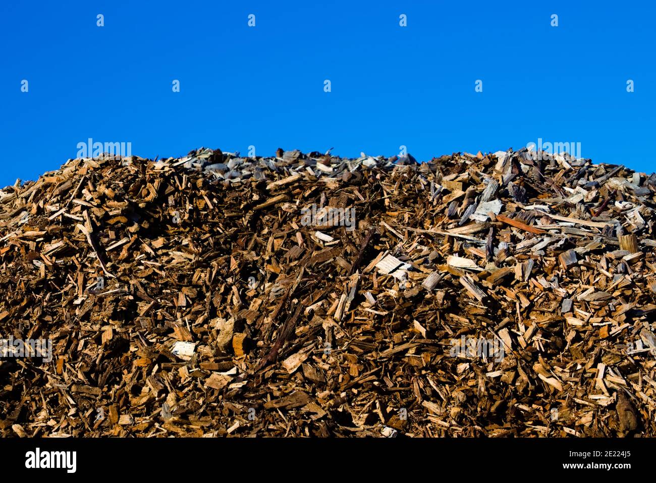 Pile of shredded wood chips Stock Photo Alamy