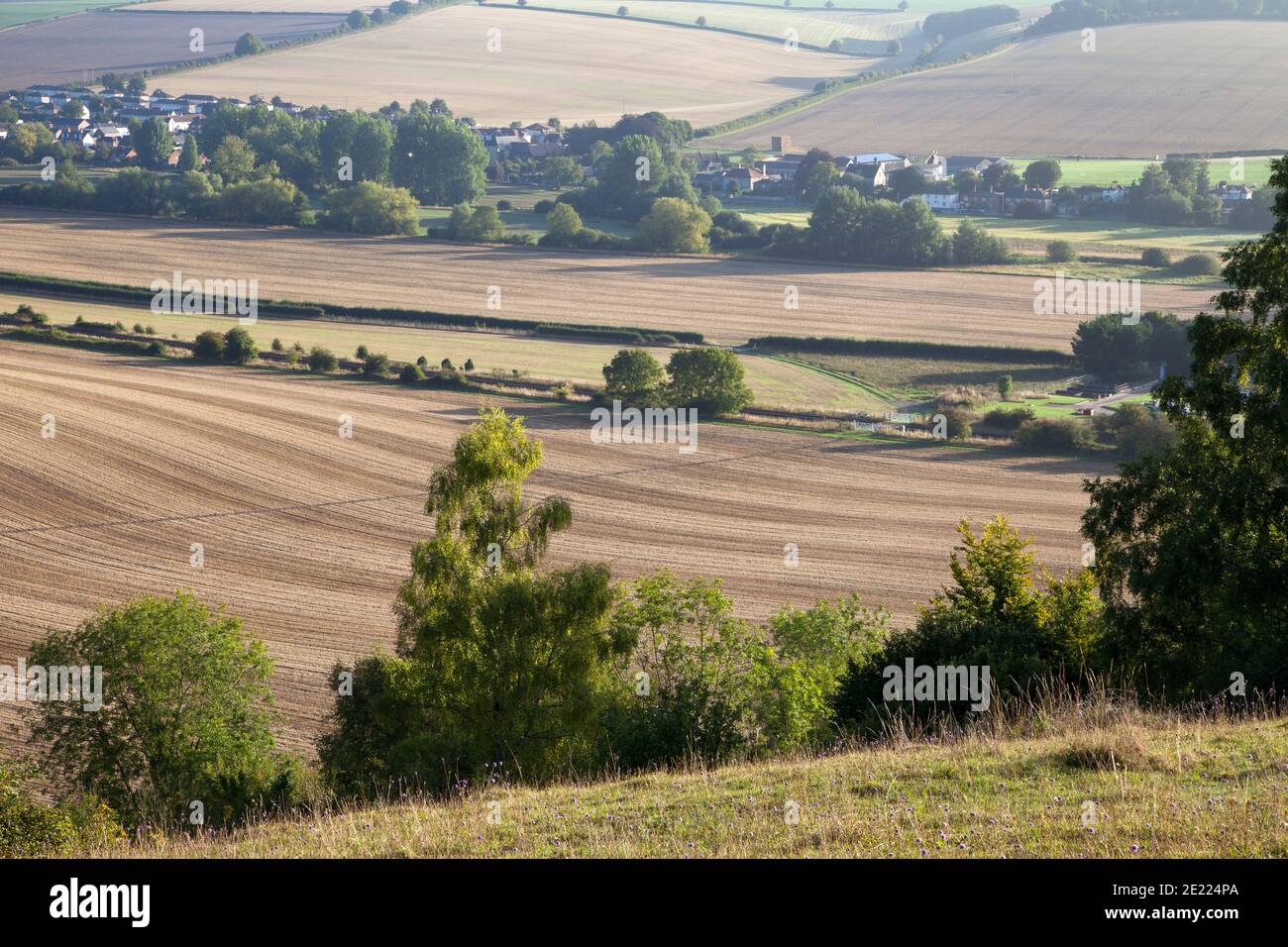 Farming landscape in the Wylye Valley near South Newton, north-west of Salisbury in Wiltshire. Stock Photo