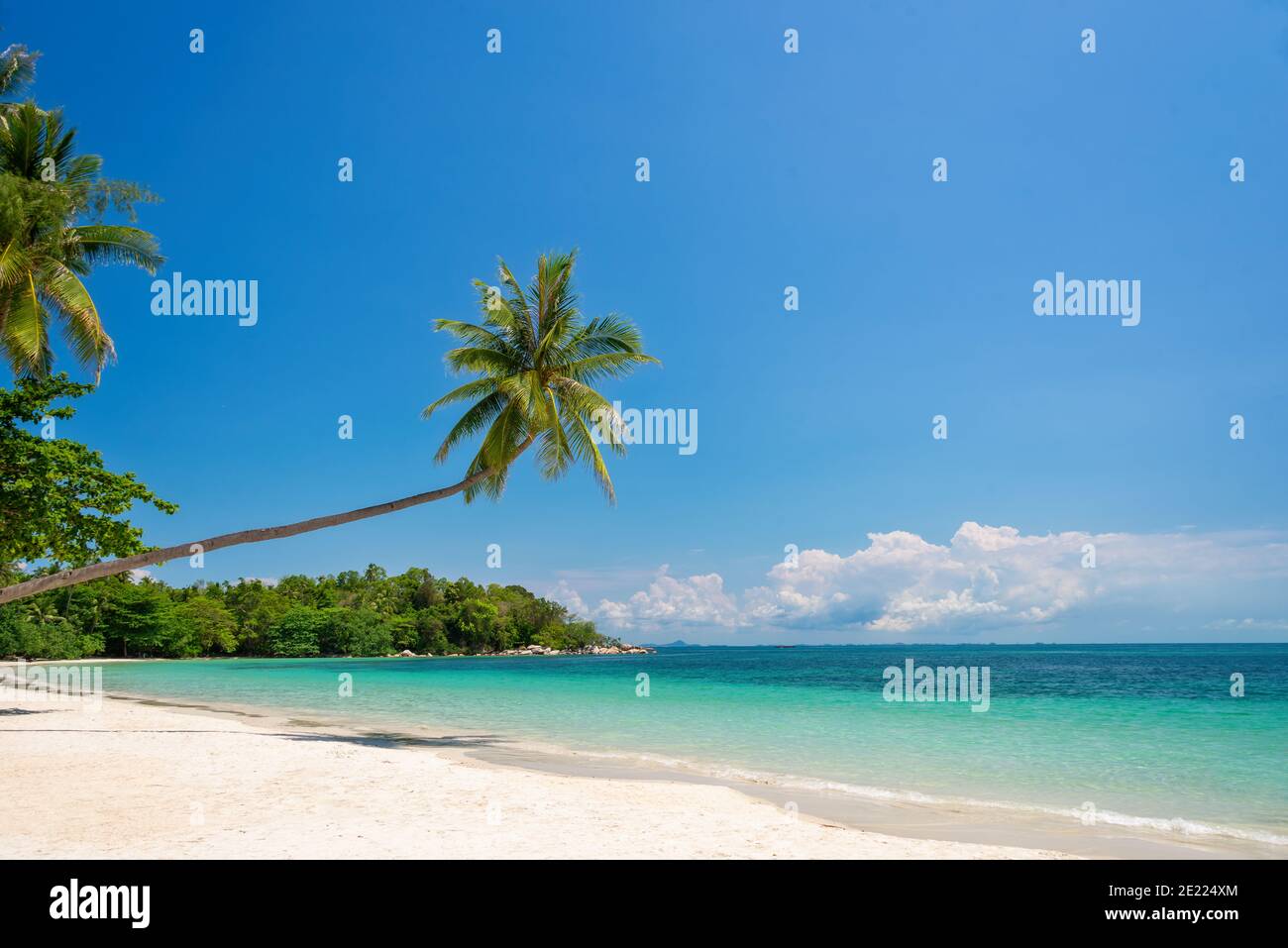 Tropical beach landscape with palm trees on Bintan island, Indonesia Stock Photo