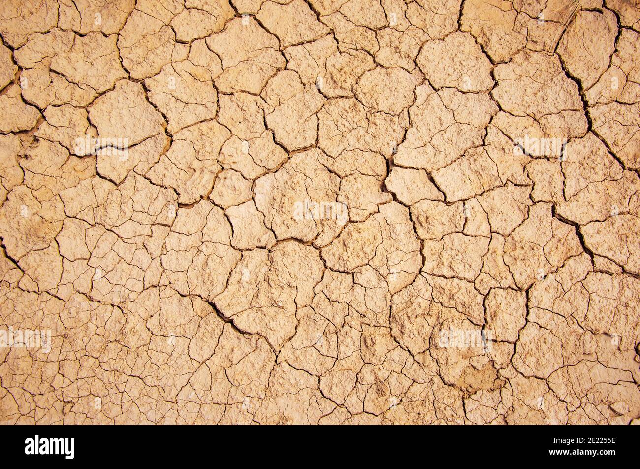 Dried and cracked earth ground background, arid desert texture, global warming concept Stock Photo