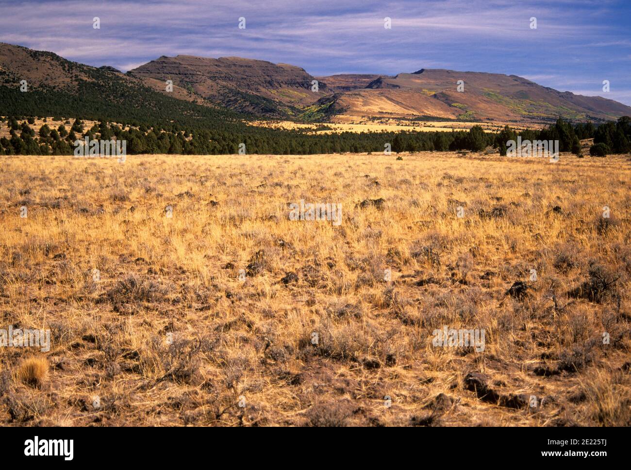 Steens Mountain, Riddle Ranch National Historical District, Steens