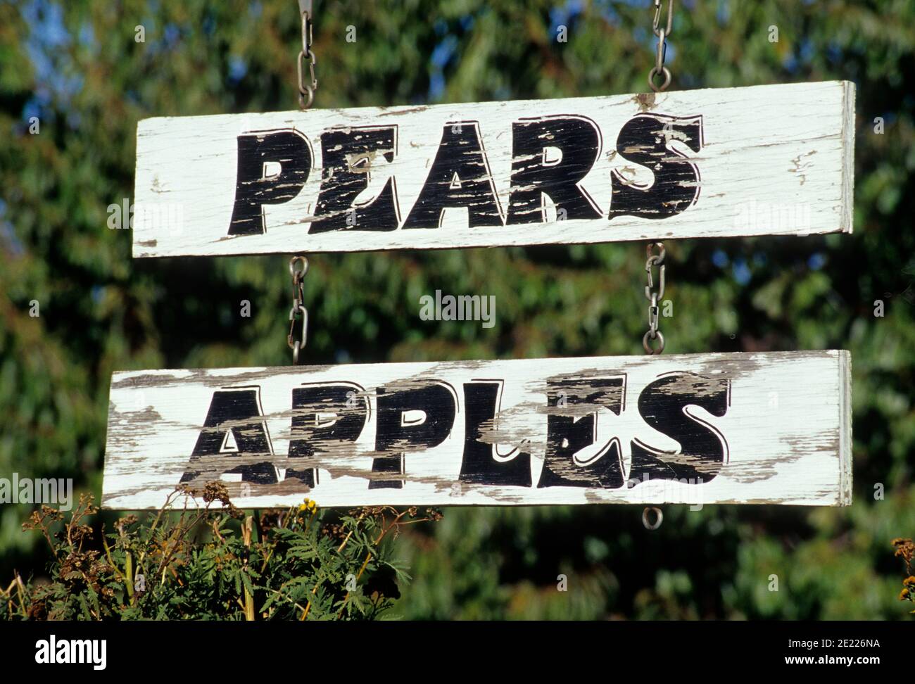 Fruit stand sign, Hood River County, Oregon Stock Photo Alamy