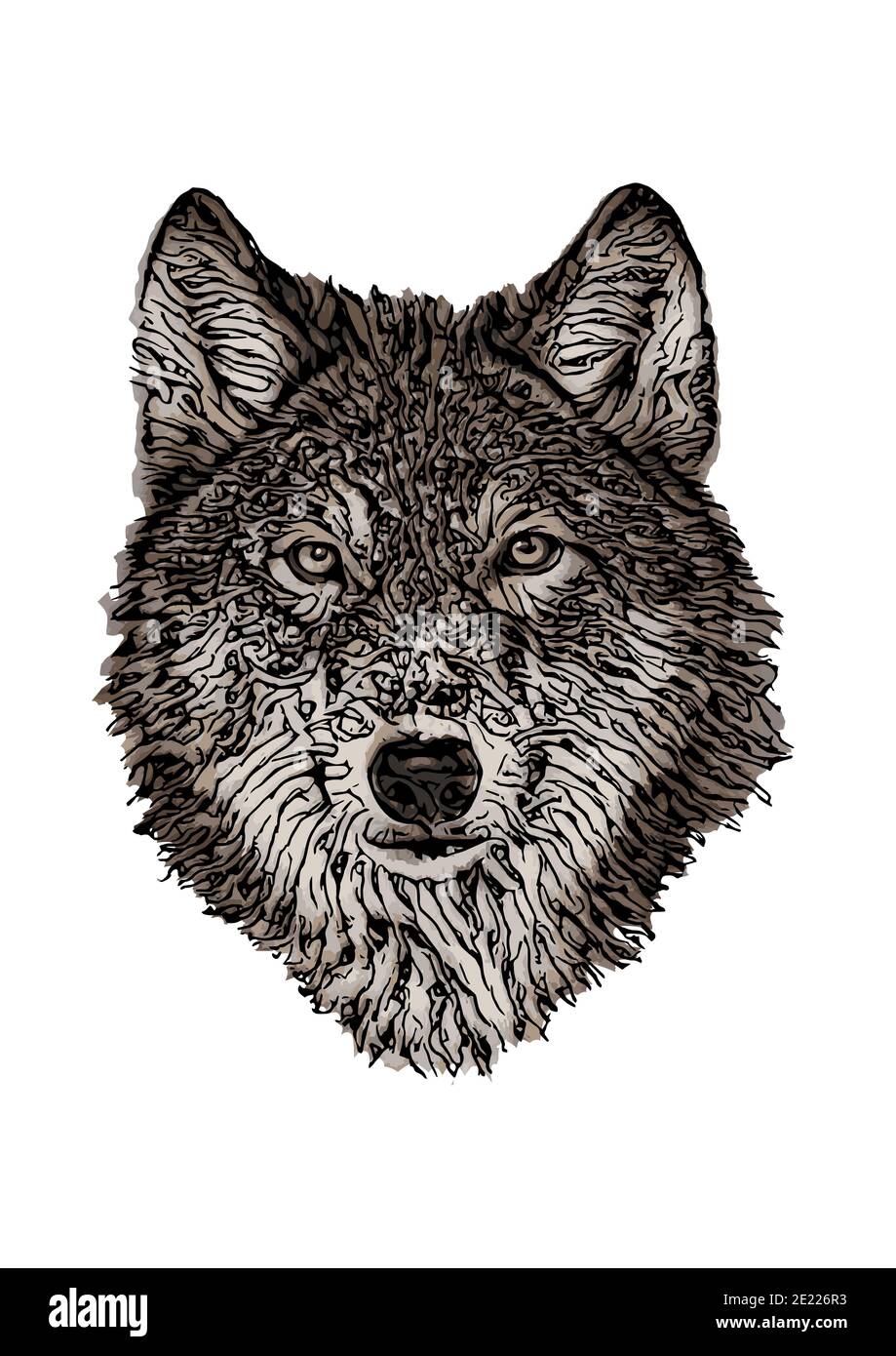 Wolf Head colored Illustration Stock Photo