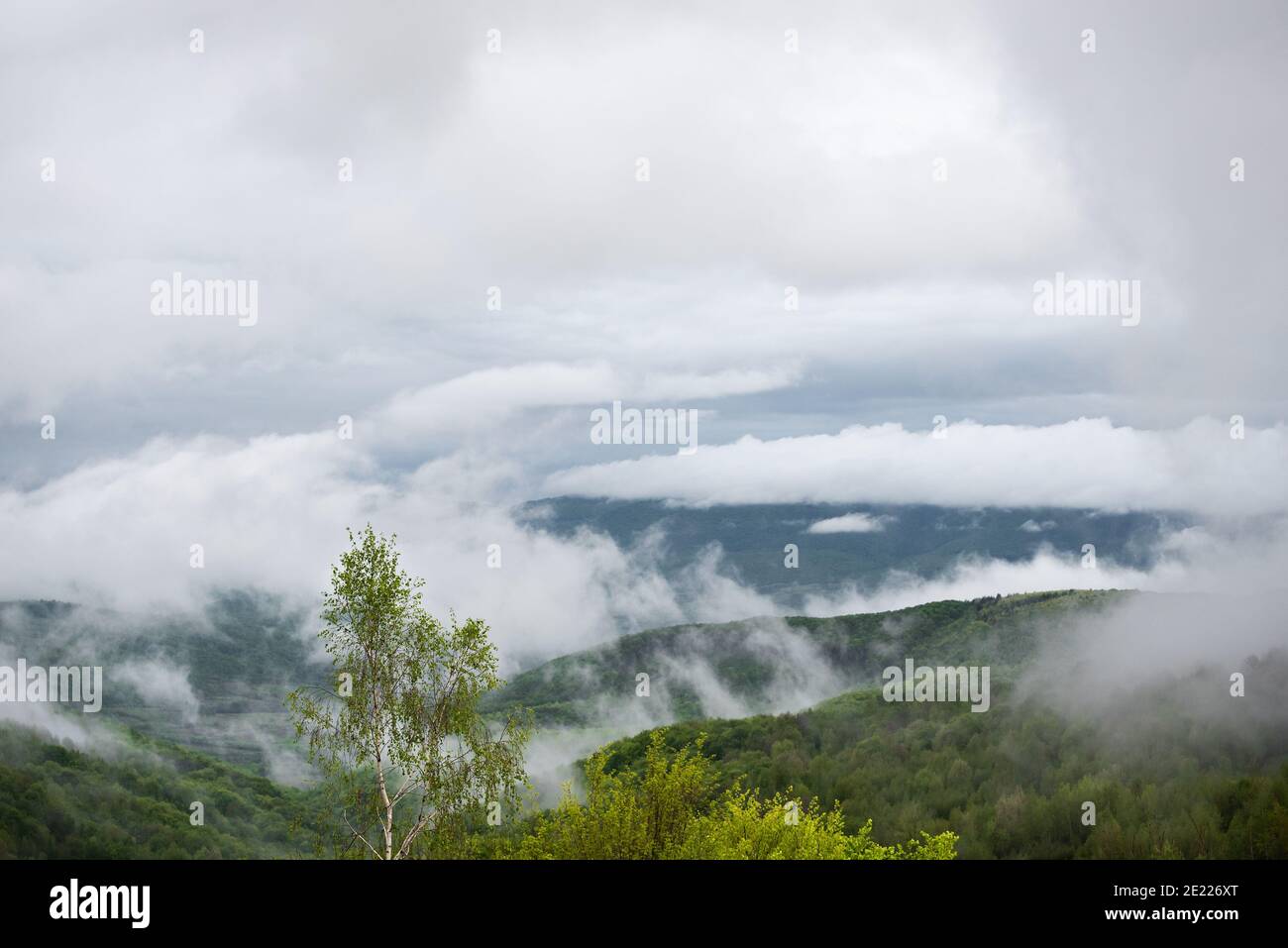 Changeable spring weather with fog in the mountains after rain Stock Photo