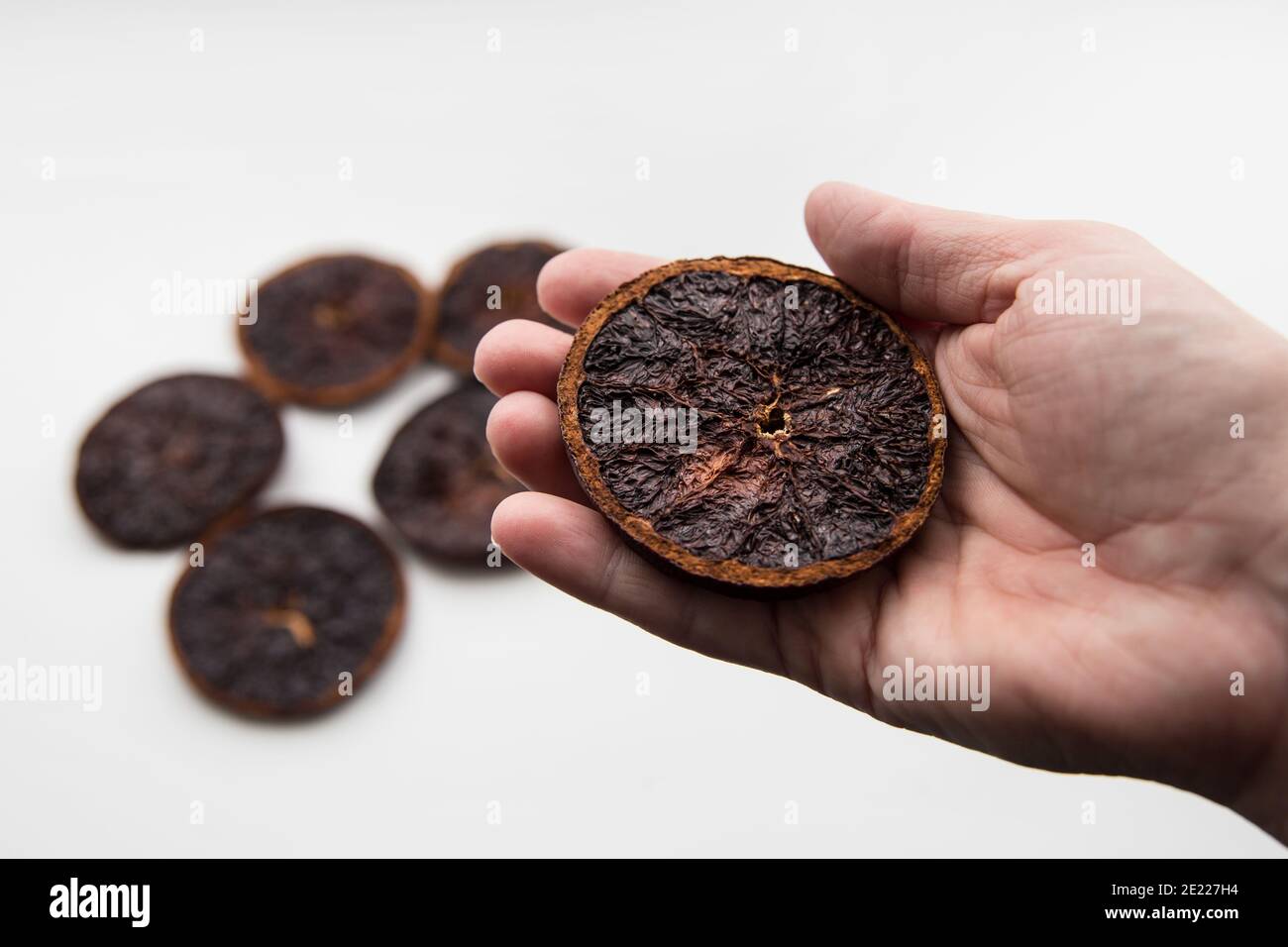 Failure at drying orange slices in oven. Person hand holding a dry and over burnt charred fruit. Stock Photo