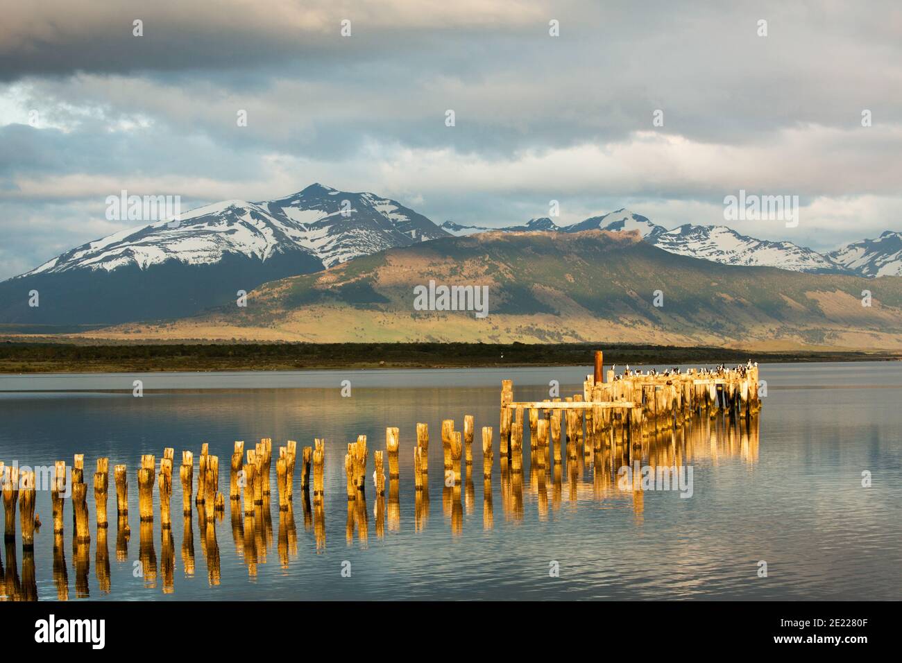 Old wooden jetty reflected in waters of the Ultima Esperanze Sound / Golfo Almirante Montt Puerto Natales, Patagonia, Chile, Andes & Torres del Paine Stock Photo