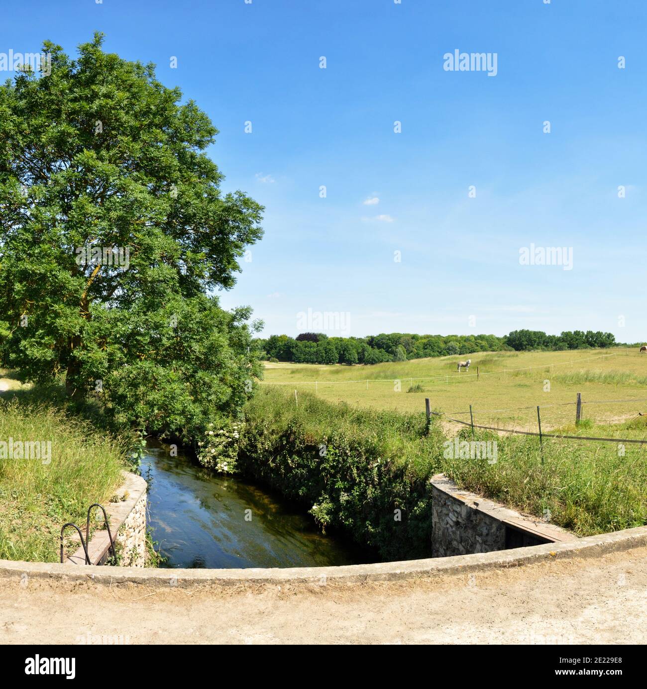 Beautiful countryside landscape under a blue sky during spring with a water court Stock Photo