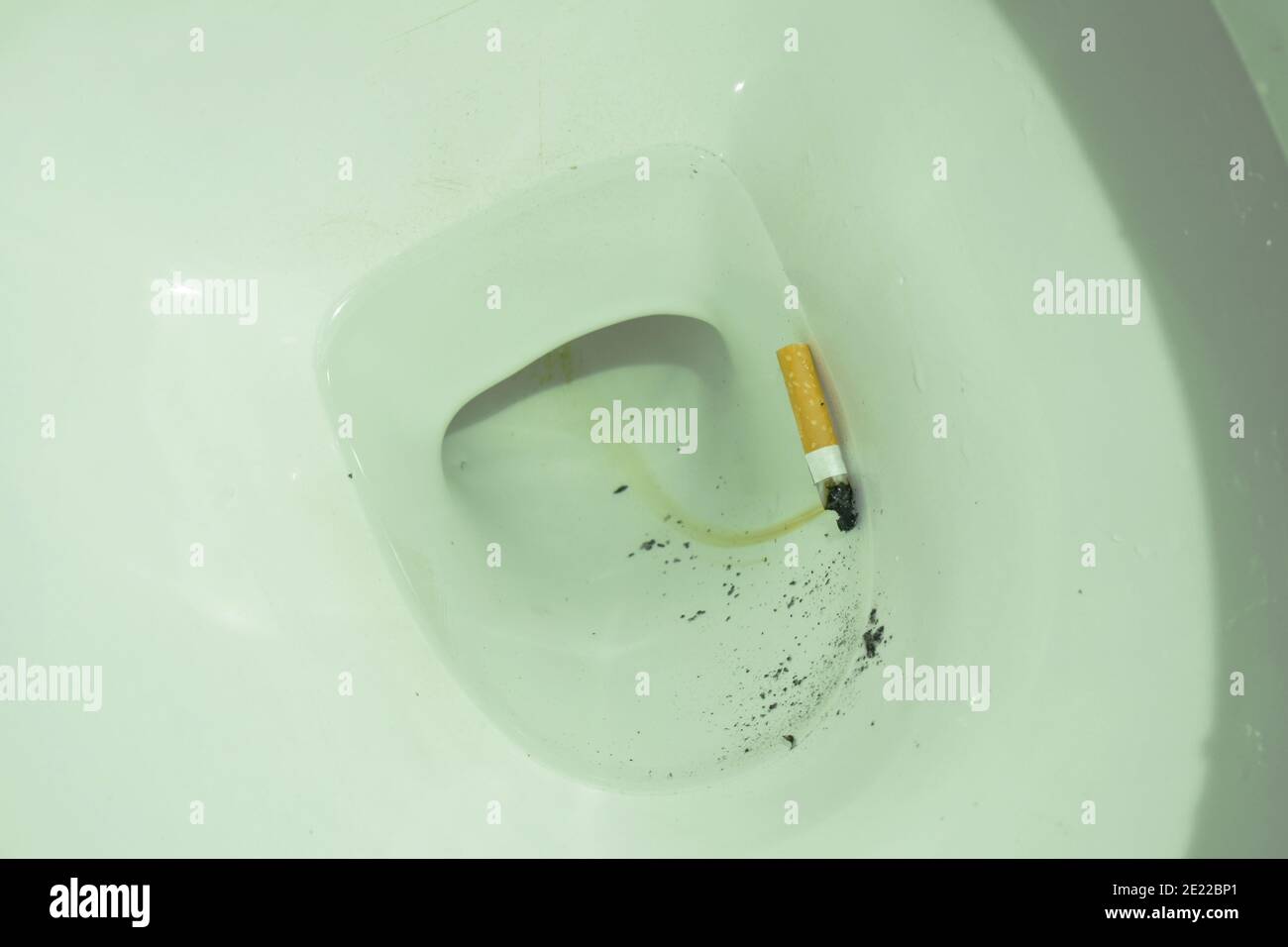 cigarette filter floating in toilet sewer hole Stock Photo Alamy