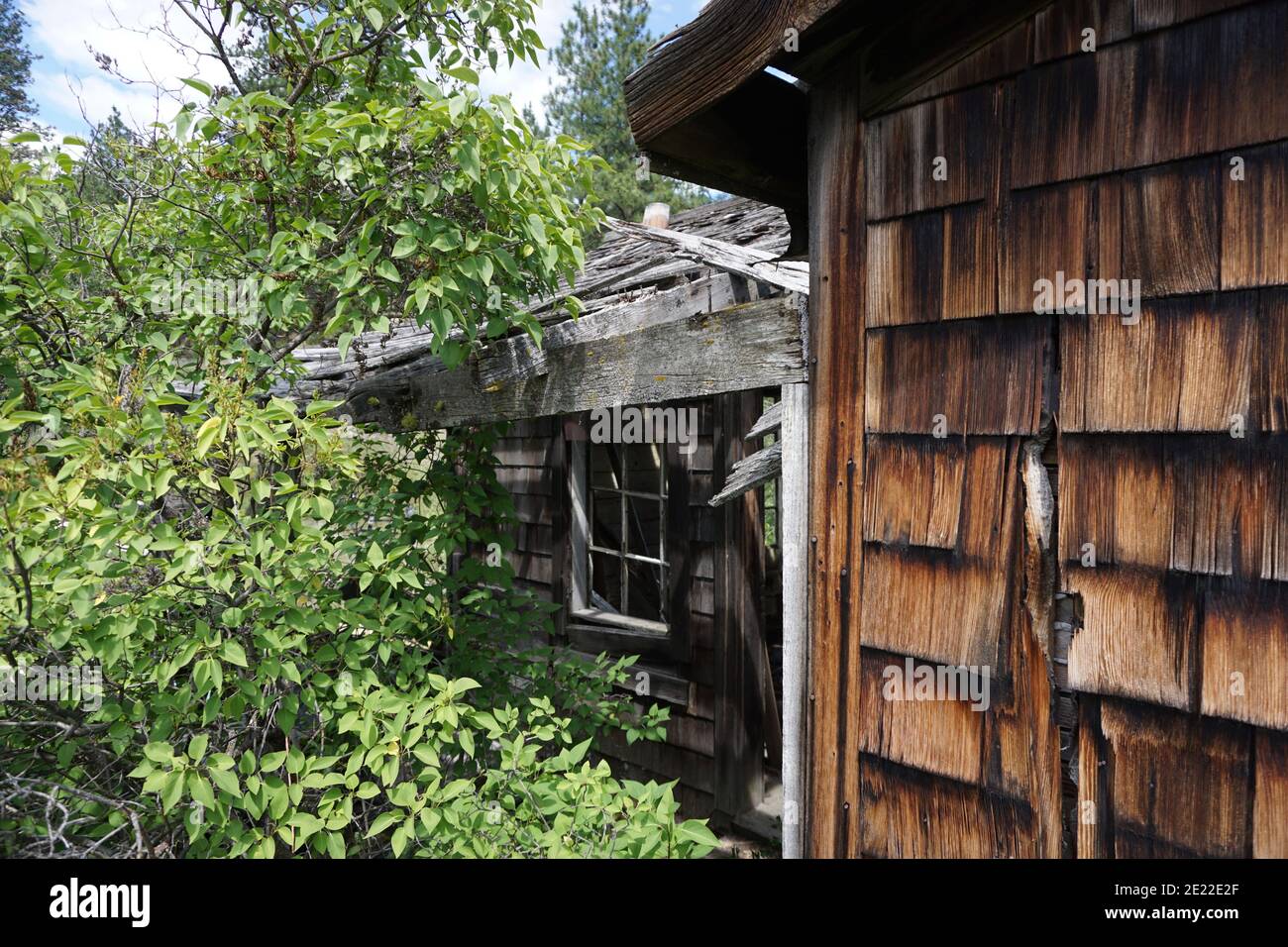 Old cabin in Summerland, BC, Canada Stock Photo