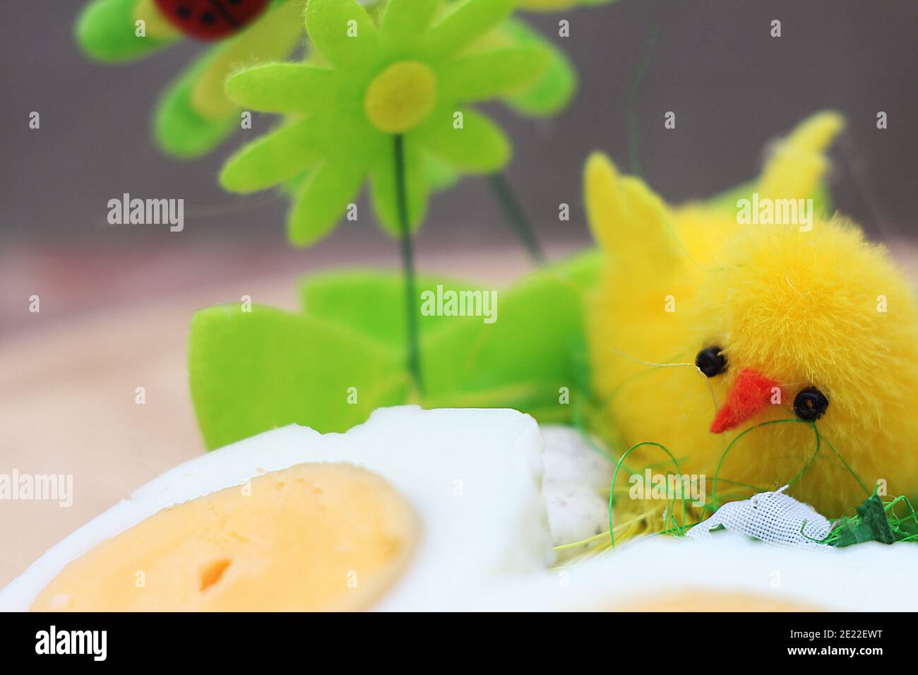 Easter chick and boiled chicken eggs, decorative composition for congratulations on Easter Stock Photo
