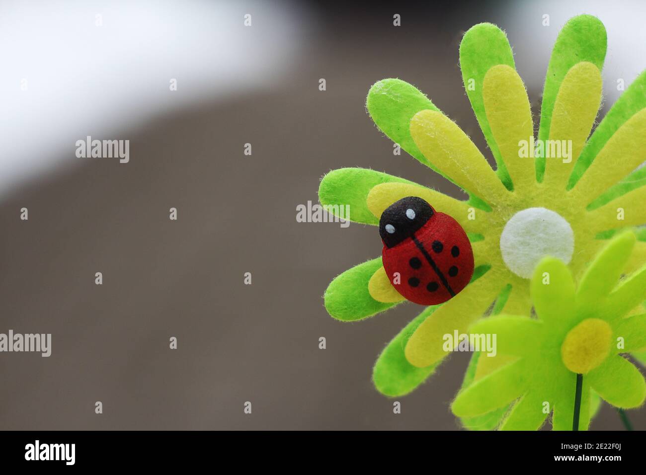 Happy birthday card ladybug hi-res stock photography and images - Alamy