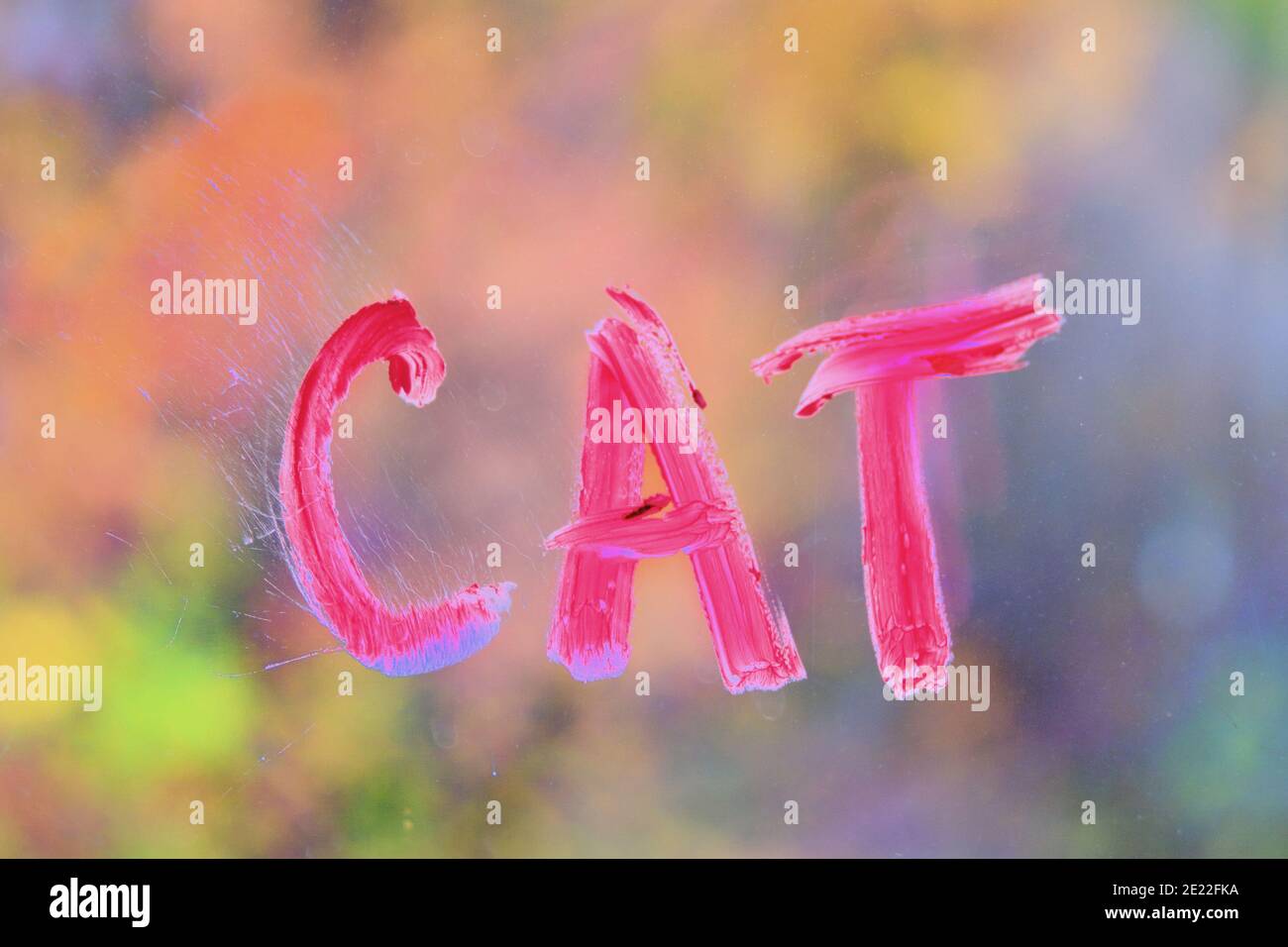 The inscription cat on the window glass with the lipstick, close up ...