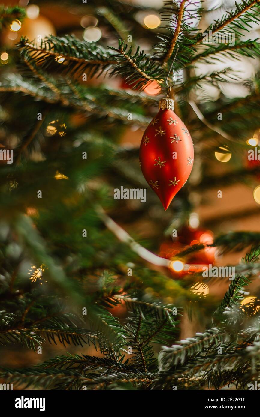 Christmas tree with red shiny bauble. Festive Xmas ornament hanging on tree blurred background.Traditional holiday decorative scene. Christmas Eve des Stock Photo