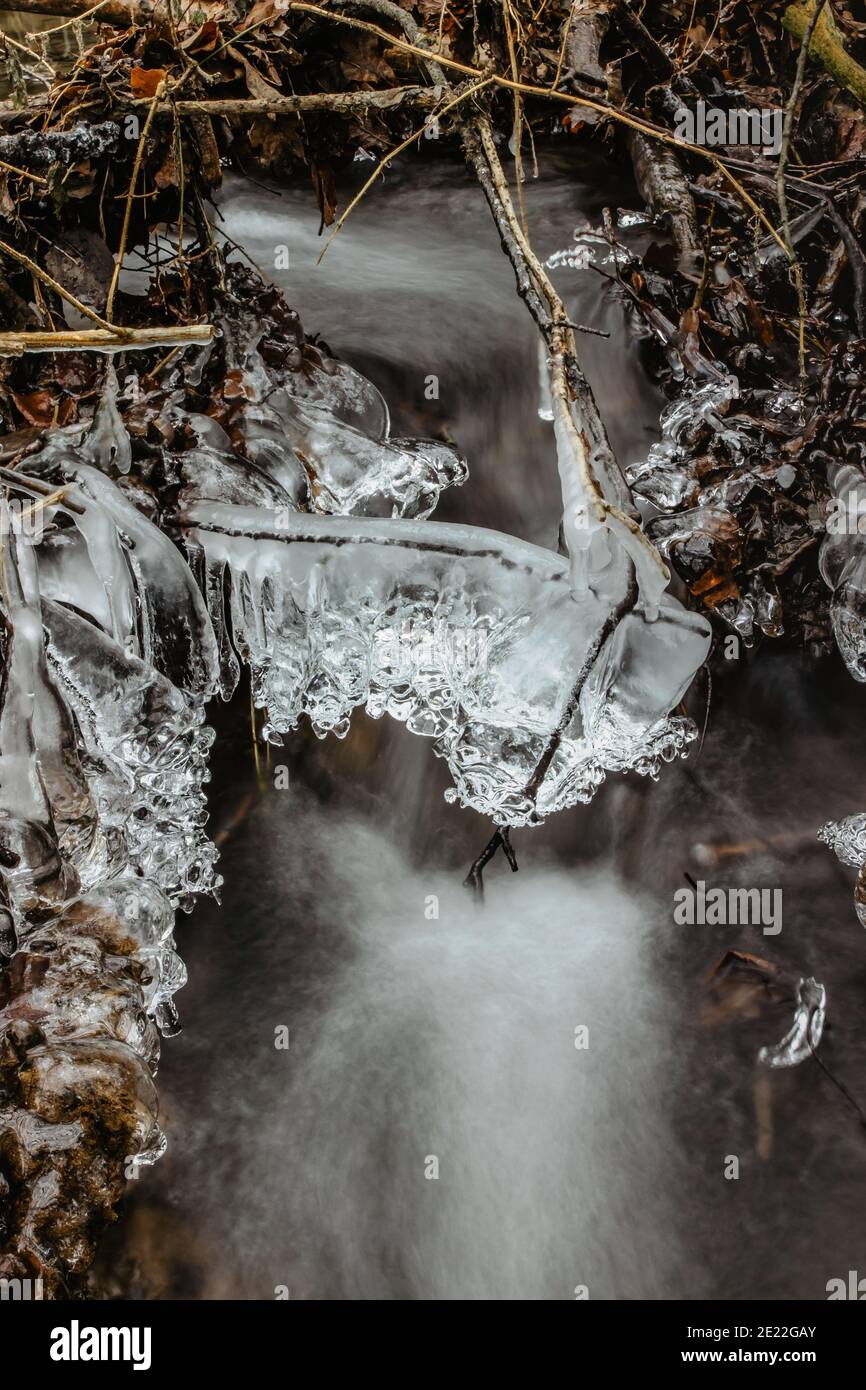 Close up of icicles near wild stream.Snowy winter scenery.Icicle in nature ice background.Cold slippery seasonal weather. Row of frosty icicles. Stock Photo