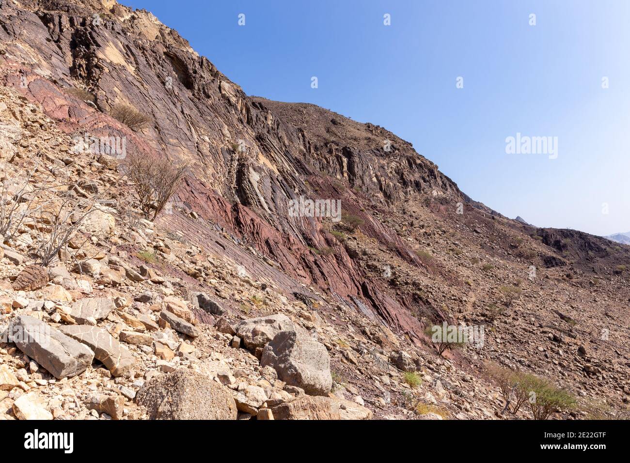 Hajar Mountains landscape, with limestone and dolomite rocks, rocky trail and barren trees, United Arab Emirates. Stock Photo