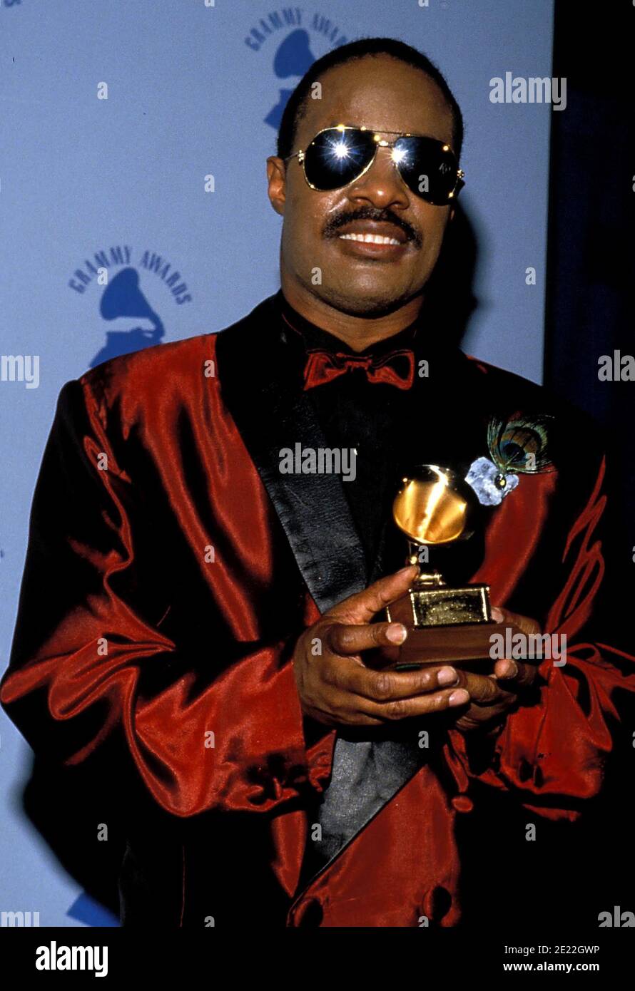 Stevie Wonder at the 28th Annual Grammy Awards at the Shrine 