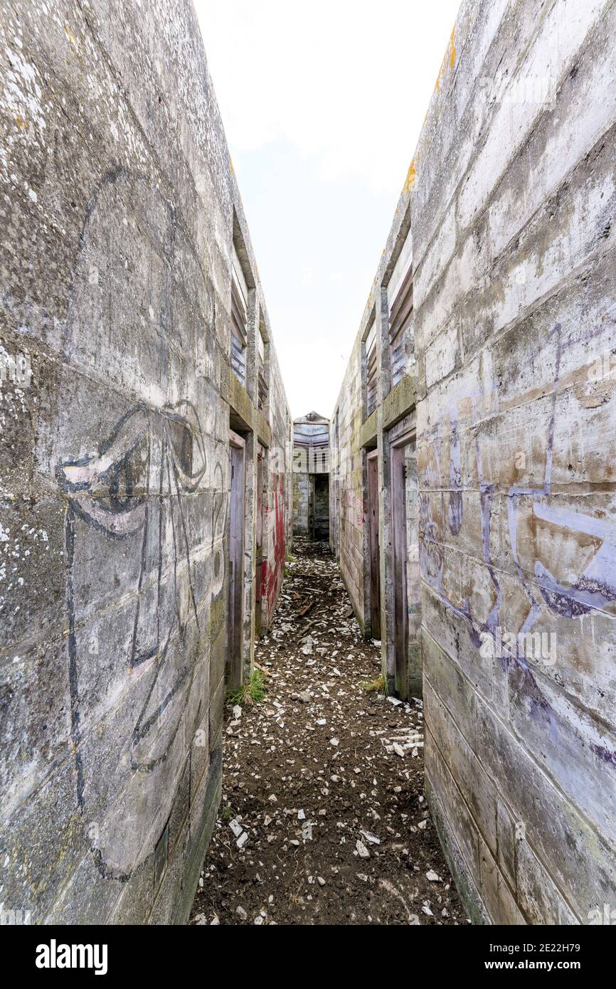 Abandoned derelict building, the former Richborough world war one prison, detention center. Narrow graffiti covered roofless corridor between cells. Stock Photo