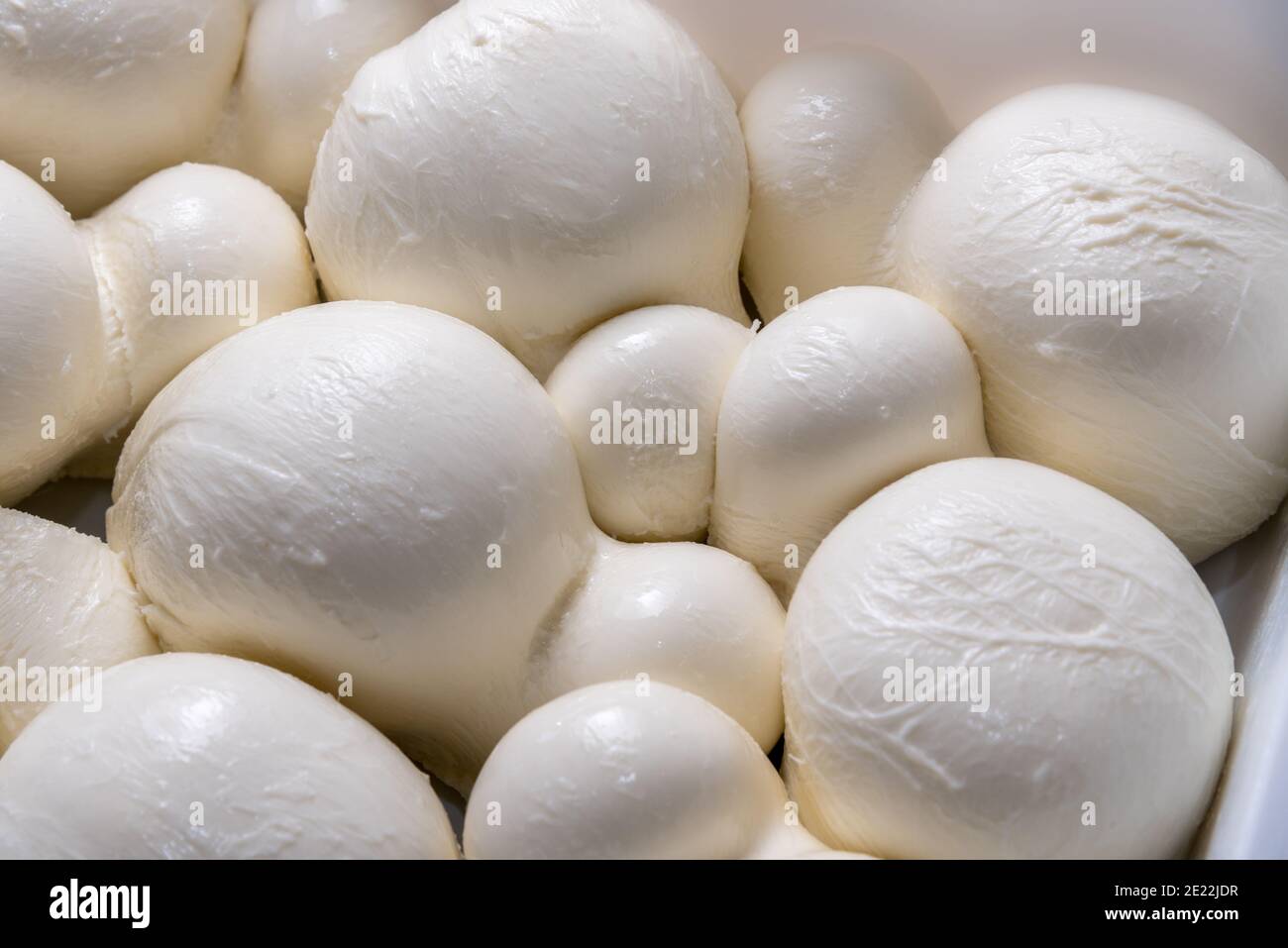 mozzarella fior di latte, typical cheese of southern Italy produced with buffalo milk Stock Photo