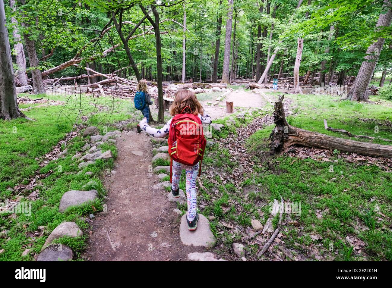 Two girls in the woods hi-res stock photography and images - Alamy