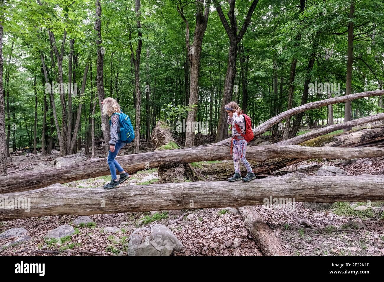 Preteen girls walking hi-res stock photography and images - Alamy