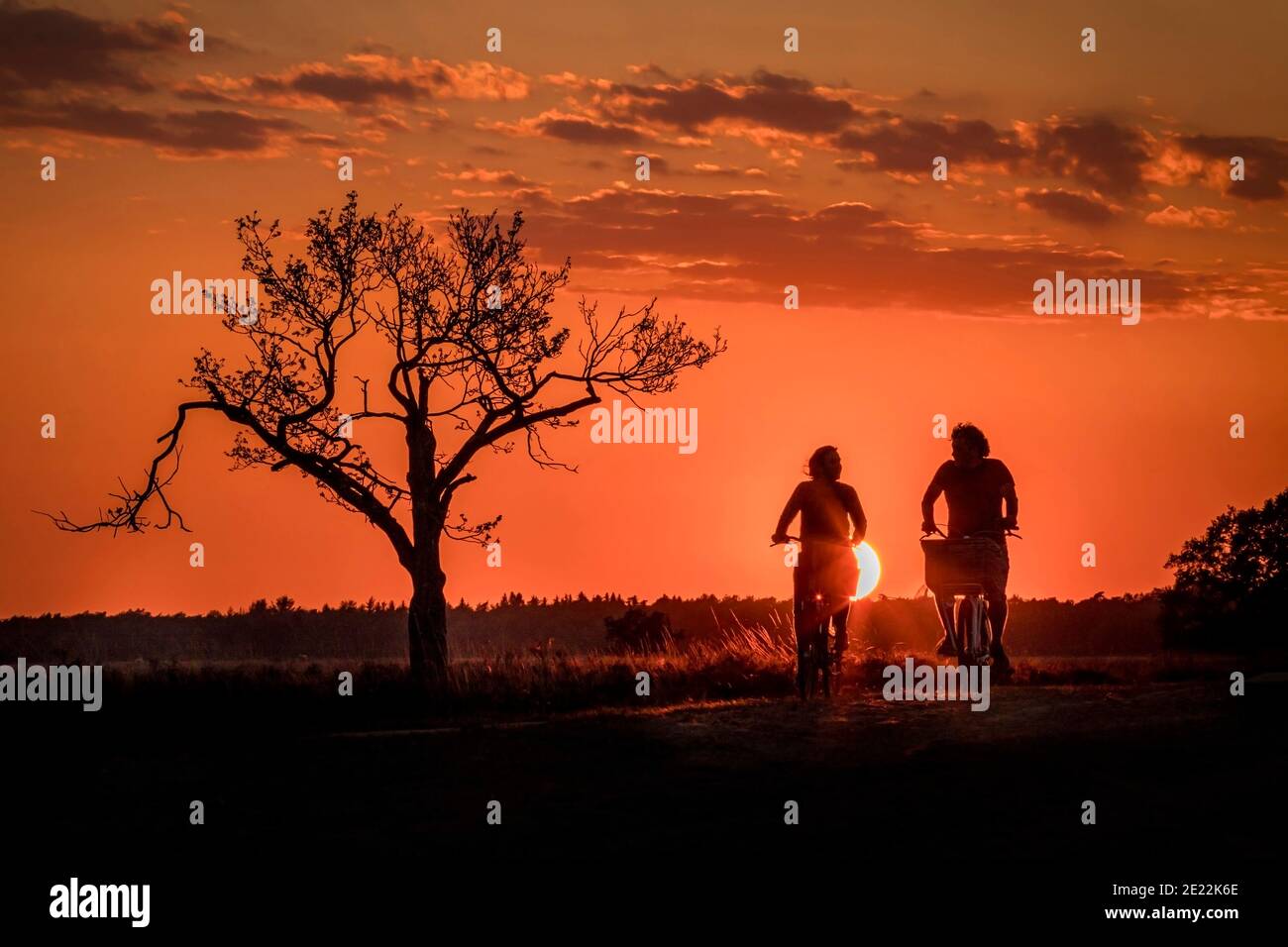 Young couple cycling in the countryside at dusk, silhouetted against sunset, Dwingelderveld National Park, Drenthe, the Netherlands Stock Photo