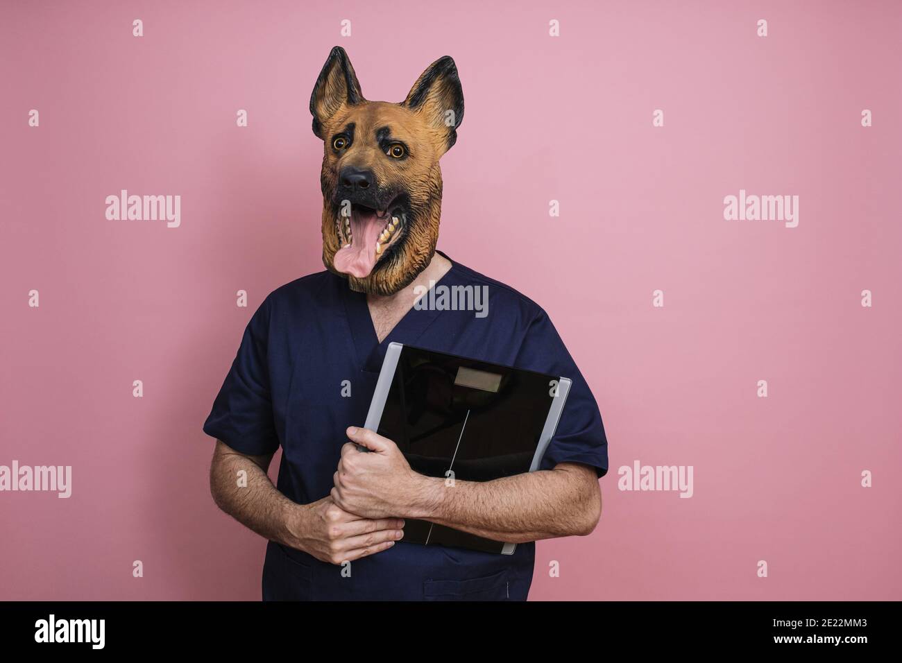 Young man in a latex dog head mask holding a weight scale on a pink  background Stock Photo - Alamy