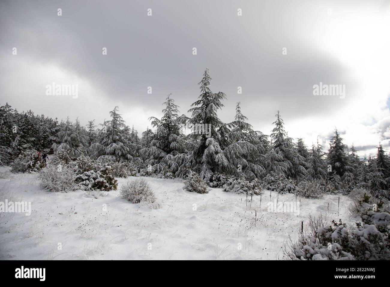 Winter scenes in the mountains of Provence, France. Stock Photo