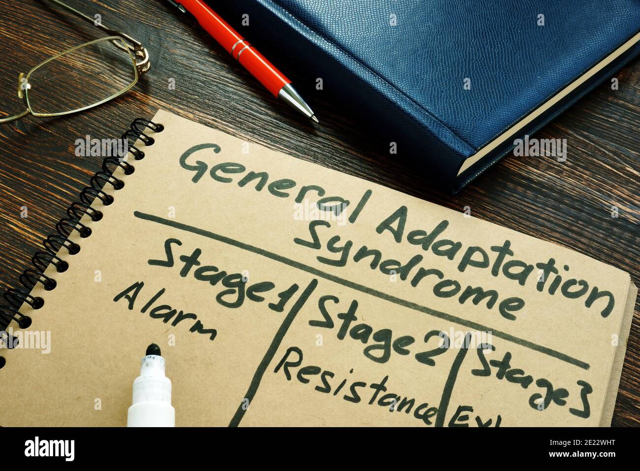 General adaptation syndrome with stages written on the page. Stock Photo