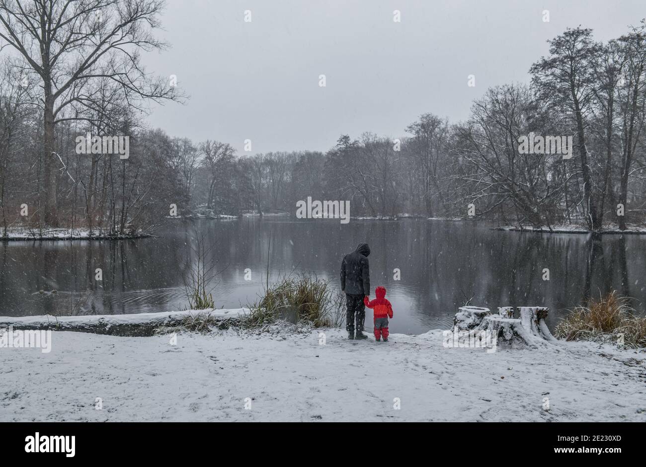 Berlin 03.01.2021: Winterlich, Neuer See, Schnee, Grosser Tiergarten, Park, Berlin, Deutschland Stock Photo