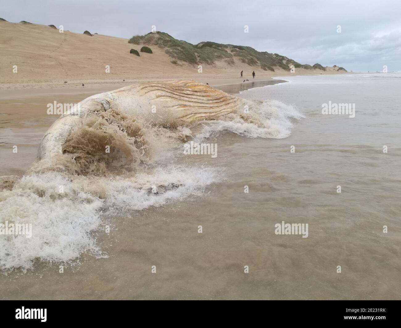 Waves crashing shore dead sea hi-res stock photography and images - Alamy