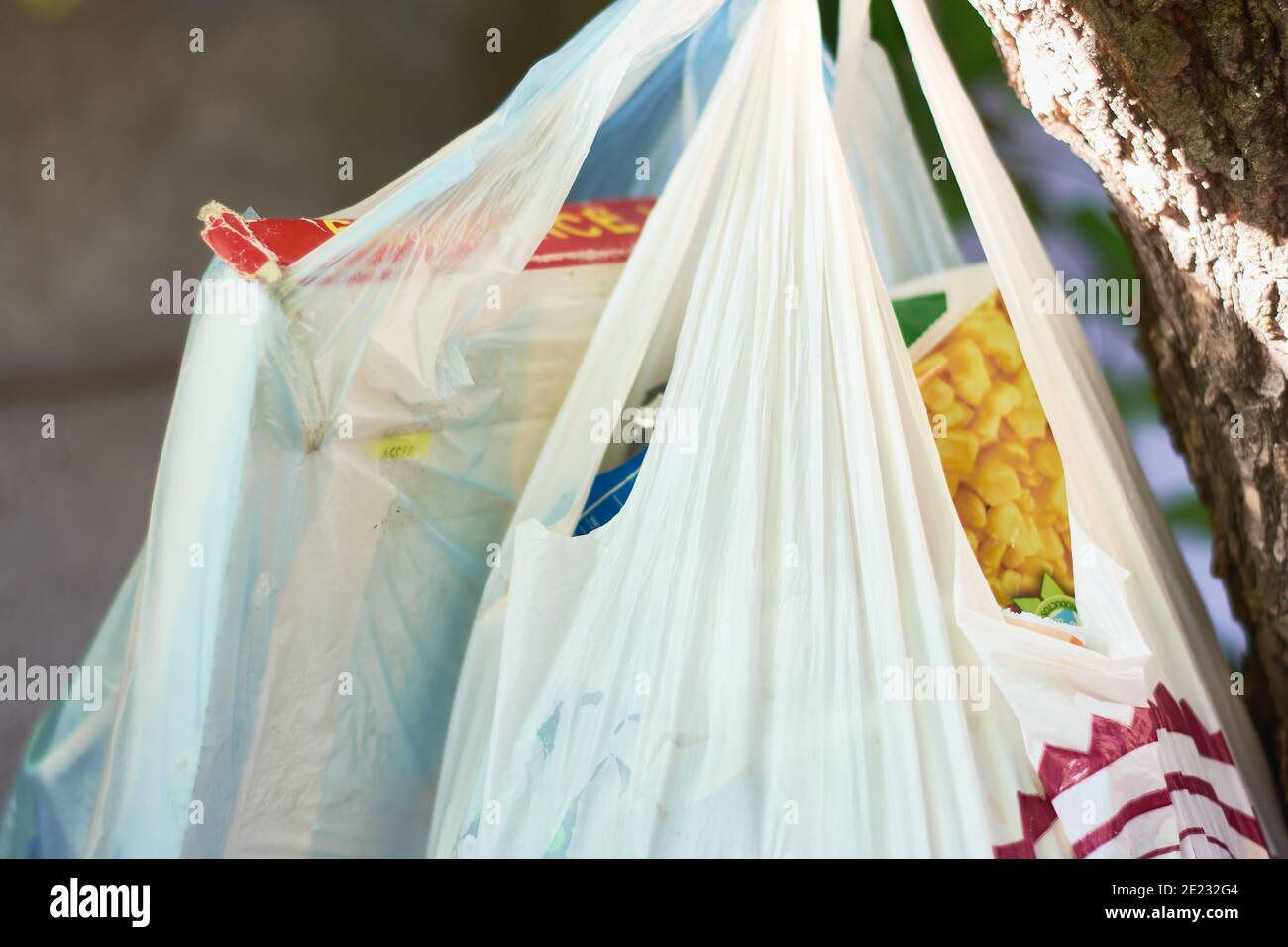 White plastic bags full of trash hanging from tree waiting to be collected by the garbage collector. Concept of environmental pollution. Stock Photo