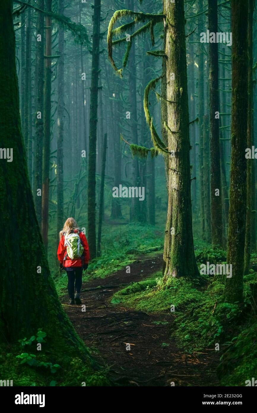 Woman hiking on forest trail, Golden Ears Provincial Park, Maple Ridge, British Columbia, Canada Stock Photo