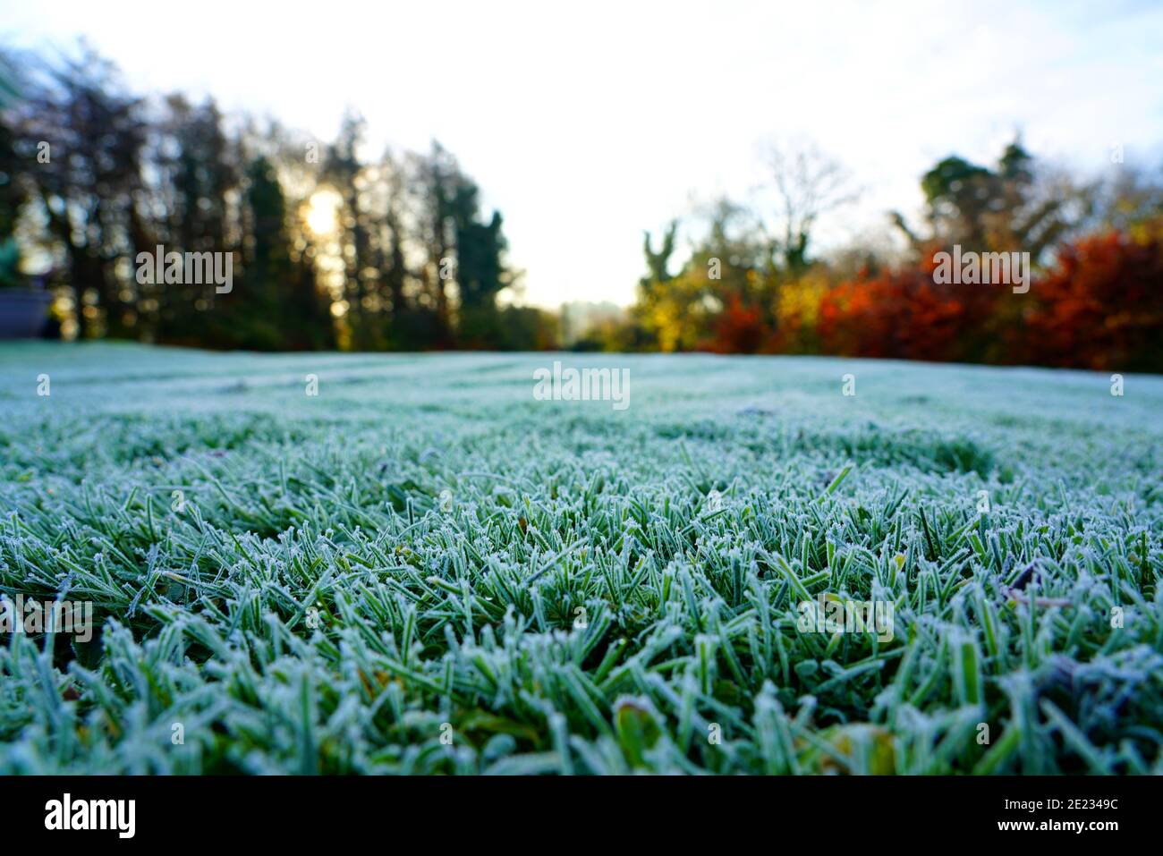 Frosty morning on a cold day in Laois, Ireland. Stock Photo