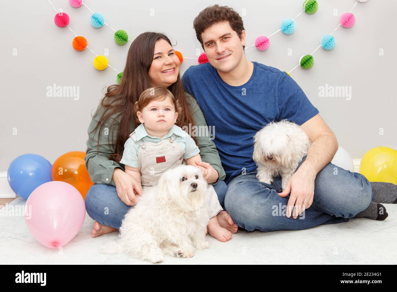 Dog birthday family portrait hi-res stock photography and images - Alamy